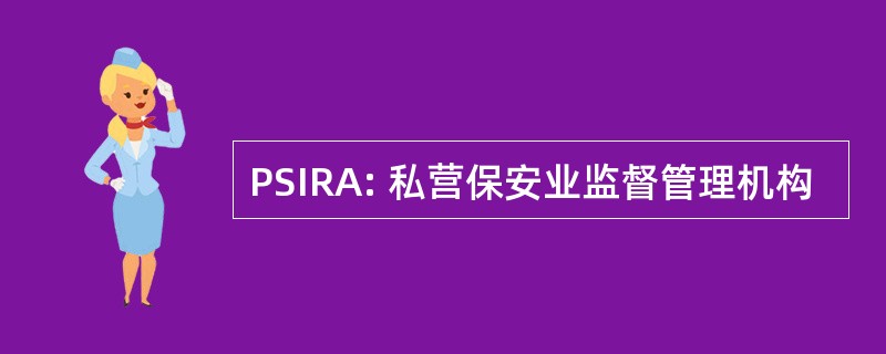 PSIRA: 私营保安业监督管理机构