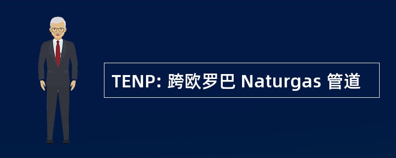 TENP: 跨欧罗巴 Naturgas 管道