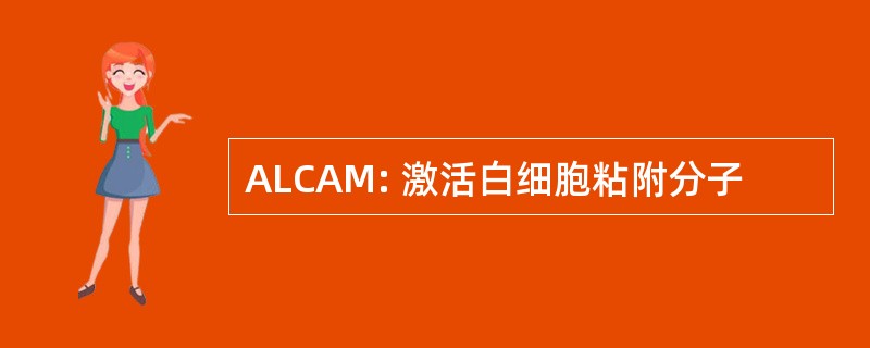 ALCAM: 激活白细胞粘附分子