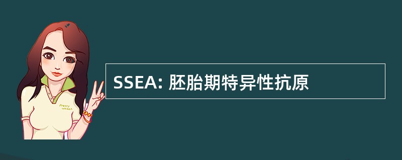 SSEA: 胚胎期特异性抗原