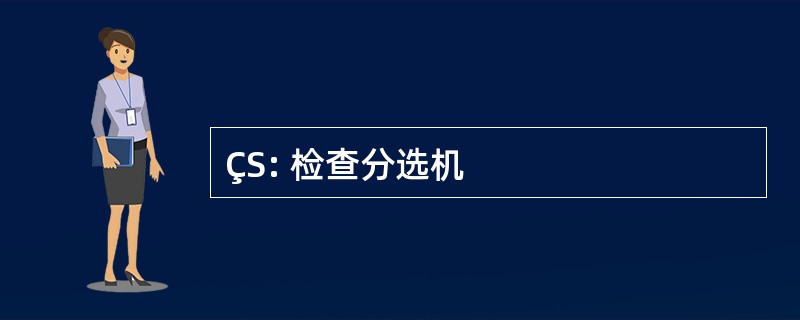 ÇS: 检查分选机