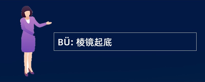 BÜ: 棱镜起底