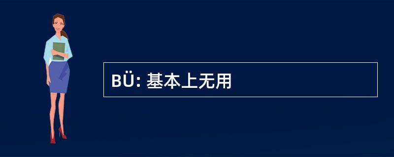 BÜ: 基本上无用