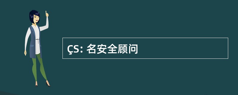 ÇS: 名安全顾问