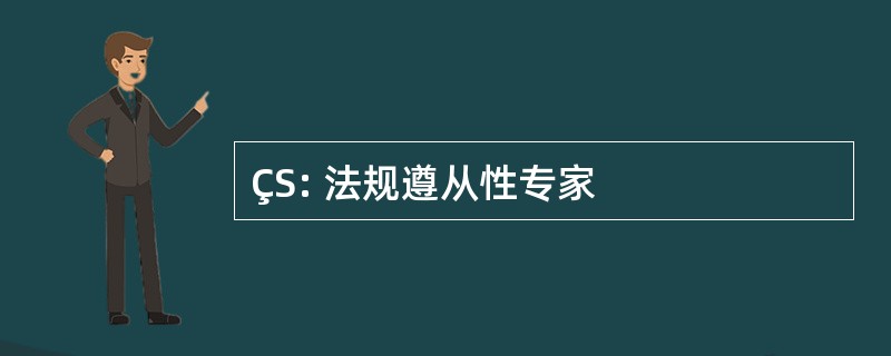 ÇS: 法规遵从性专家