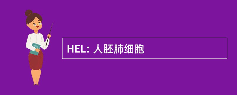 HEL: 人胚肺细胞