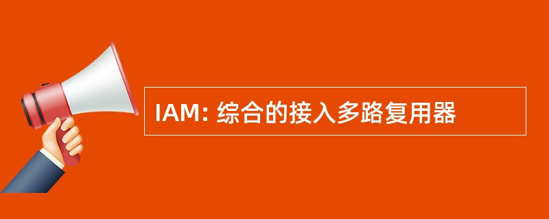 IAM: 综合的接入多路复用器