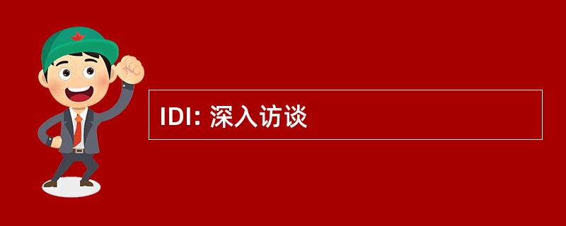 IDI: 深入访谈