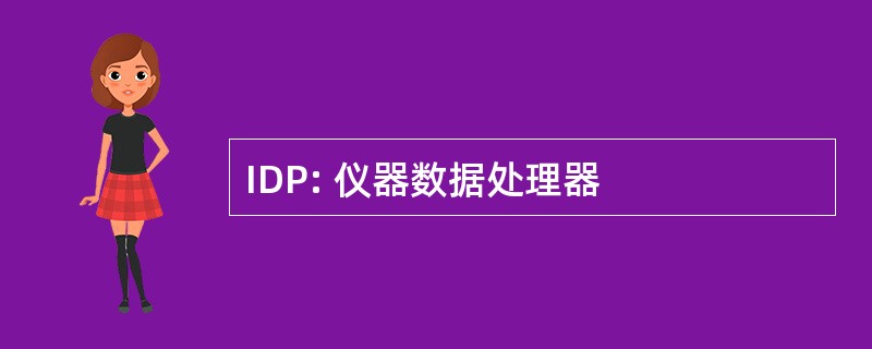 IDP: 仪器数据处理器