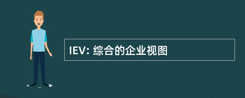 IEV: 综合的企业视图