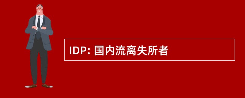 IDP: 国内流离失所者