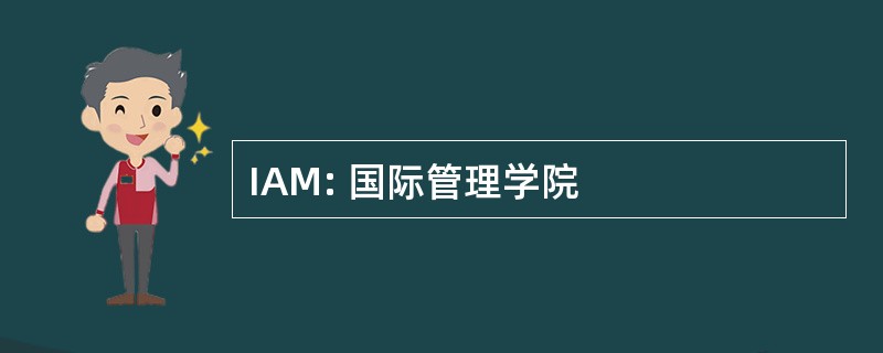 IAM: 国际管理学院