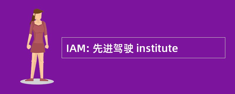 IAM: 先进驾驶 institute