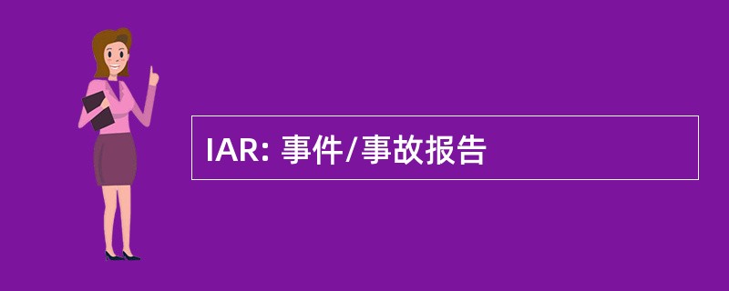 IAR: 事件/事故报告