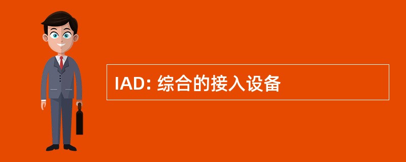 IAD: 综合的接入设备