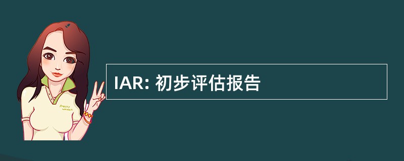 IAR: 初步评估报告