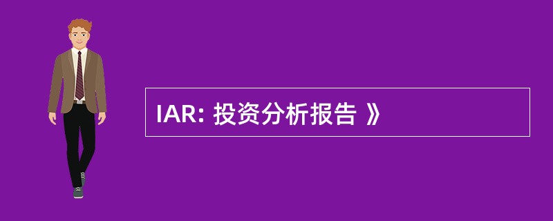 IAR: 投资分析报告 》