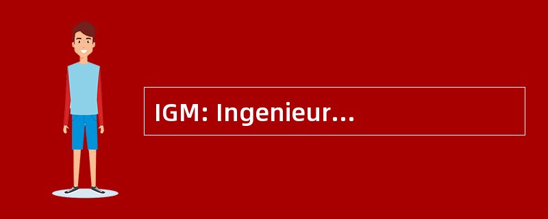 IGM: Ingenieurgesellschaft fÃ¼r Geophysikalische 海德汉