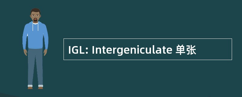 IGL: Intergeniculate 单张