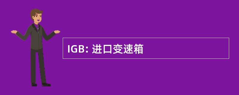 IGB: 进口变速箱