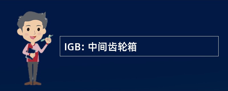 IGB: 中间齿轮箱