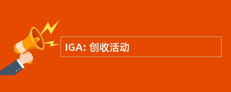 IGA: 创收活动