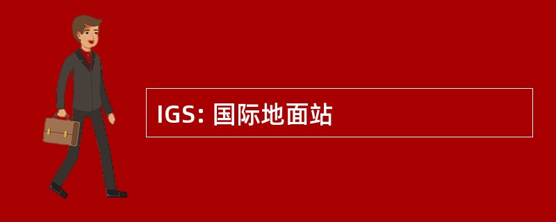 IGS: 国际地面站