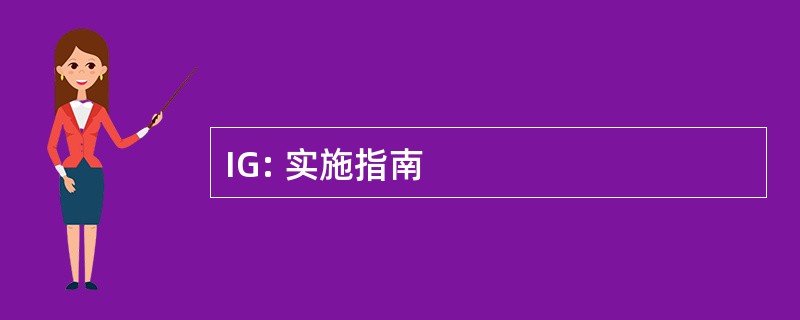 IG: 实施指南