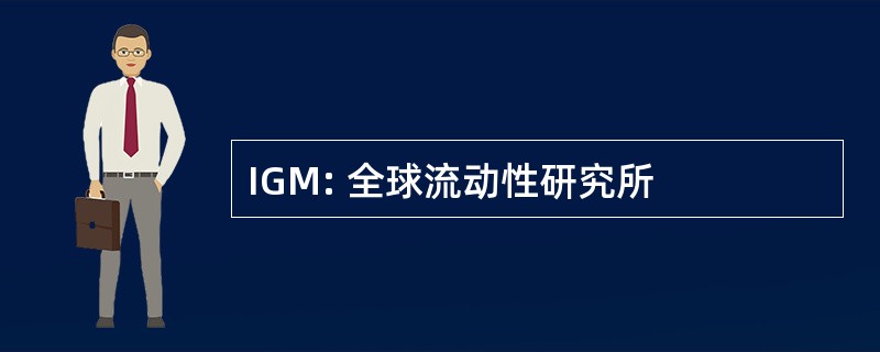 IGM: 全球流动性研究所