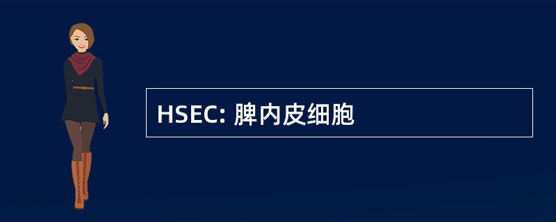 HSEC: 脾内皮细胞