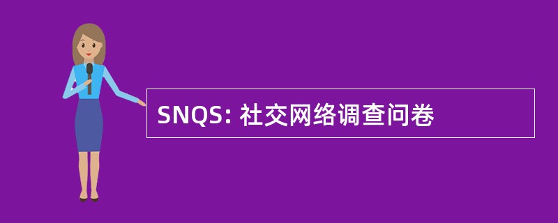 SNQS: 社交网络调查问卷