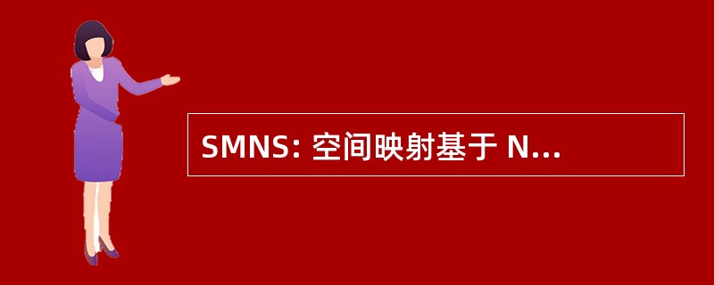 SMNS: 空间映射基于 Neuromodeling