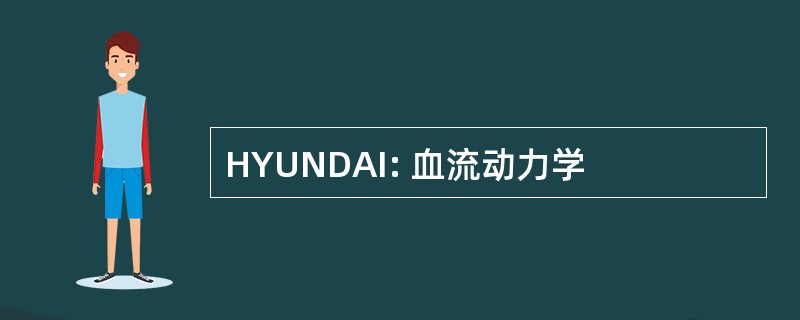 HYUNDAI: 血流动力学