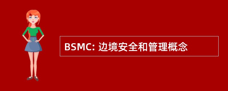 BSMC: 边境安全和管理概念