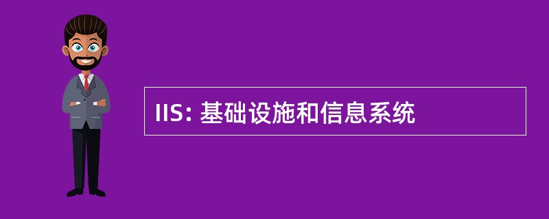 IIS: 基础设施和信息系统