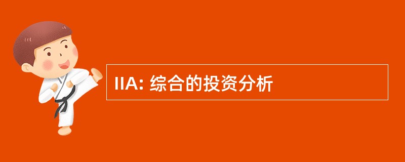 IIA: 综合的投资分析