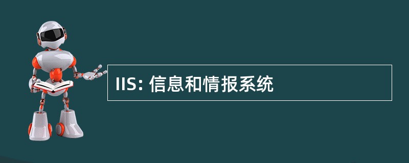 IIS: 信息和情报系统