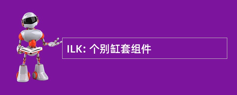 ILK: 个别缸套组件