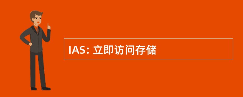 IAS: 立即访问存储