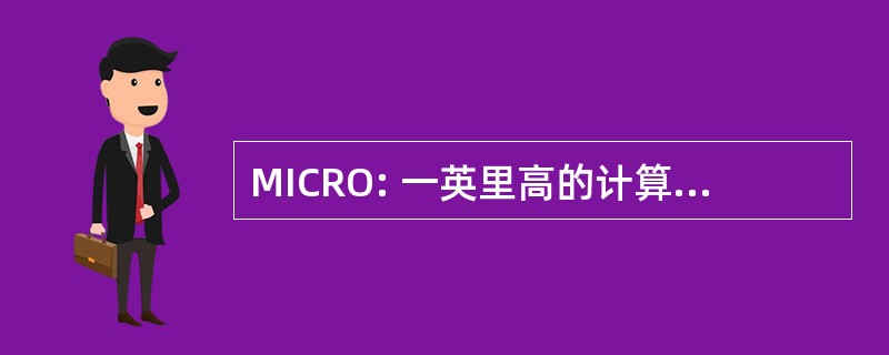 MICRO: 一英里高的计算机资源组织