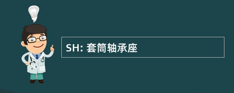 SH: 套筒轴承座