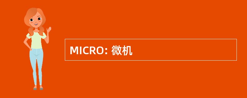 MICRO: 微机