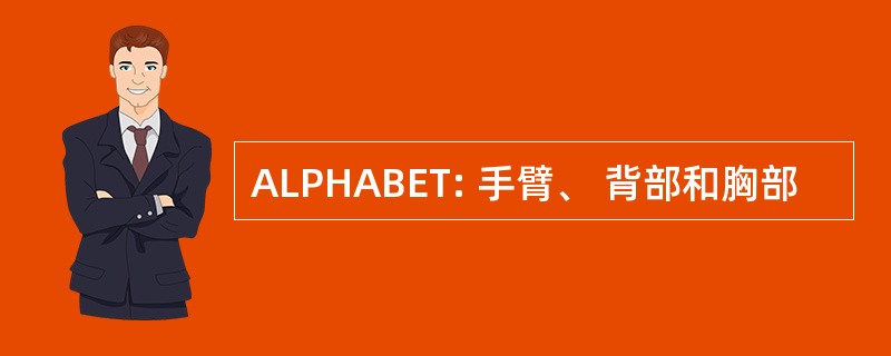 ALPHABET: 手臂、 背部和胸部