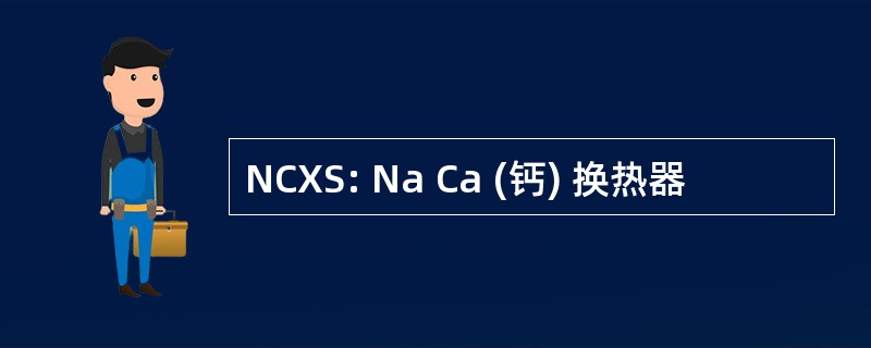 NCXS: Na Ca (钙) 换热器