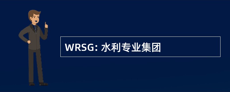 WRSG: 水利专业集团