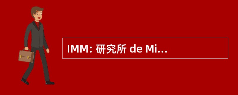 IMM: 研究所 de MicroelectrÃ³nica de 马德里