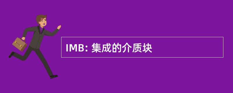 IMB: 集成的介质块