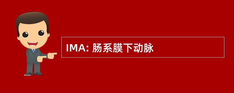 IMA: 肠系膜下动脉