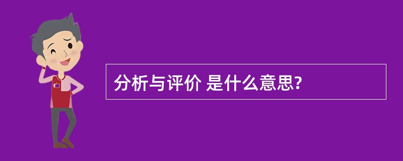 分析与评价 是什么意思?