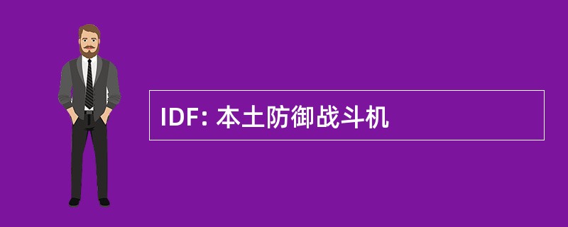 IDF: 本土防御战斗机